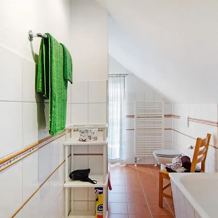 Seeschwalbe Hilgenriedersiel