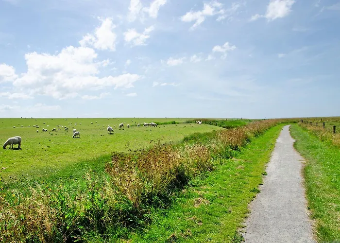 Seeschwalbe Hilgenriedersiel * Hagermarsch